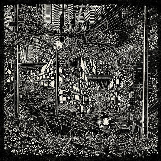 Jake Long - City Swamp [VINYL]