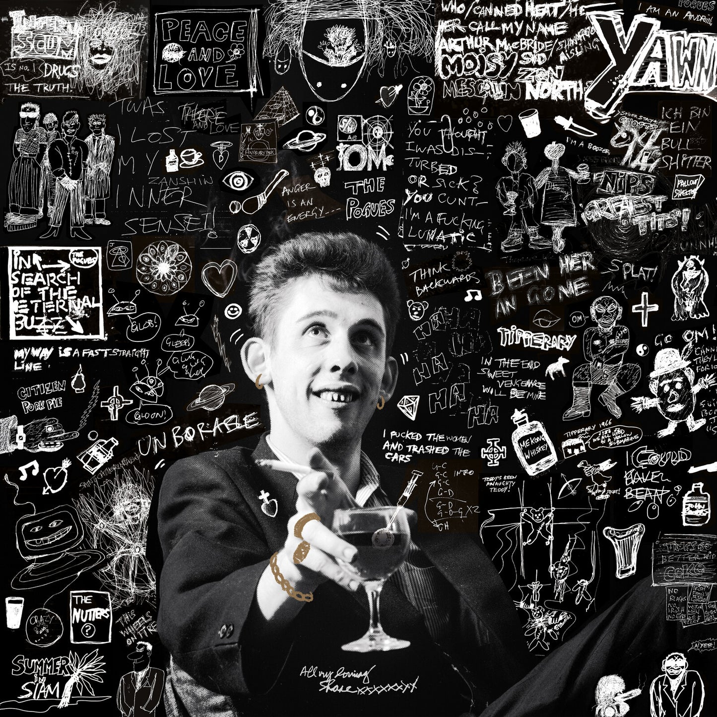 Shane MacGowan - 20th Century Paddy - The Songs of [VINYL]
