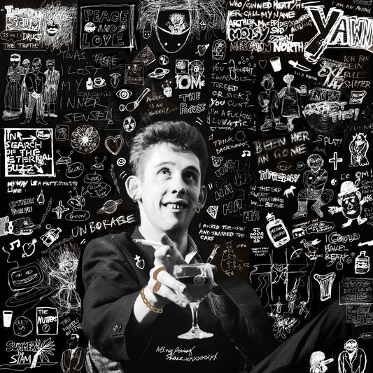 Shane MacGowan - 20th Century Paddy - The Songs of [VINYL]