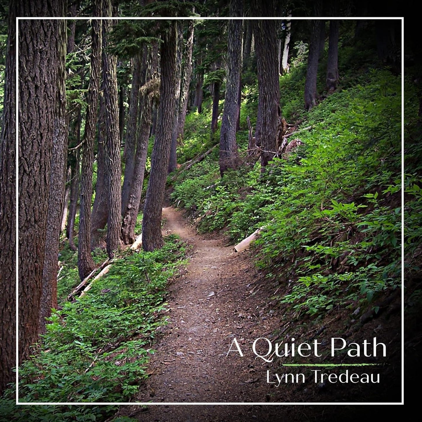 Lynn Tredeau - A Quiet Path [CD]