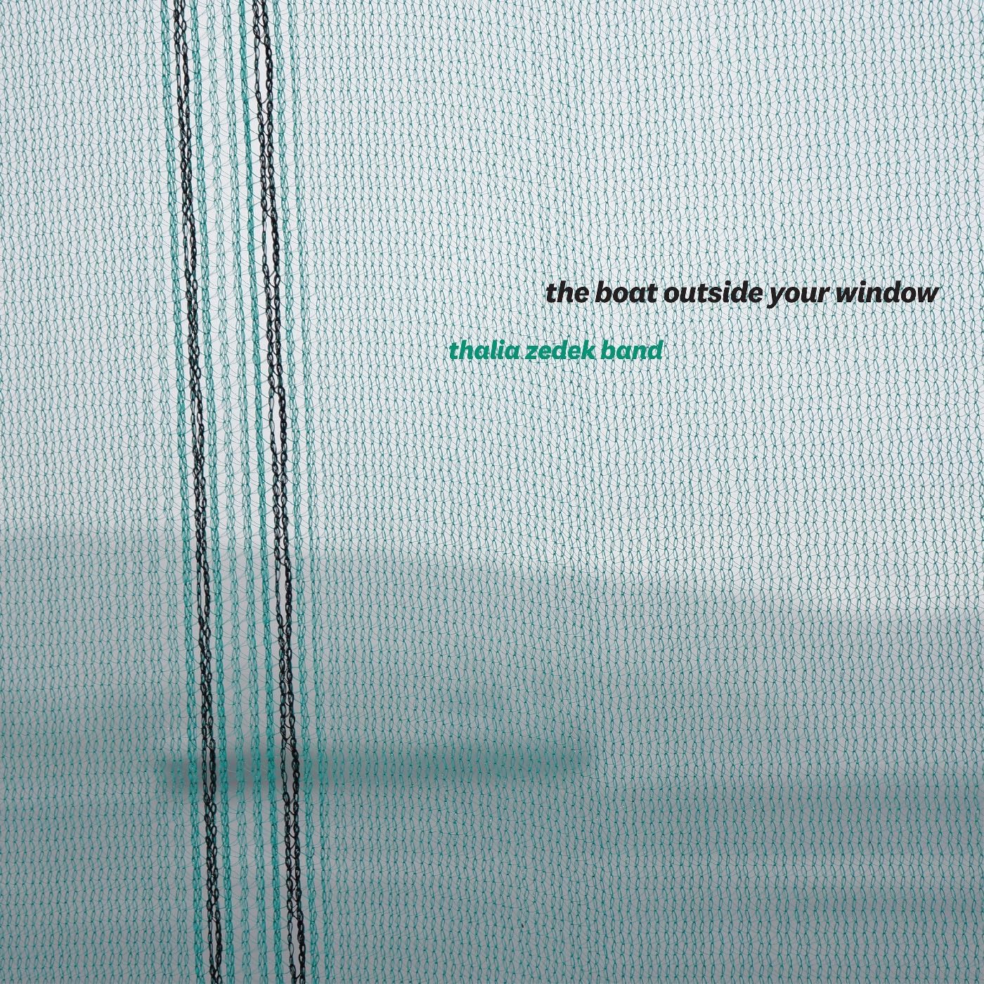Various - The Boat Outside Your Window [VINYL]