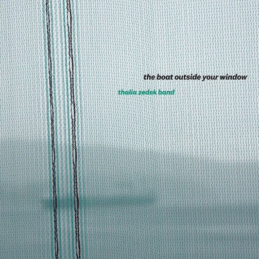Various - The Boat Outside Your Window [VINYL]