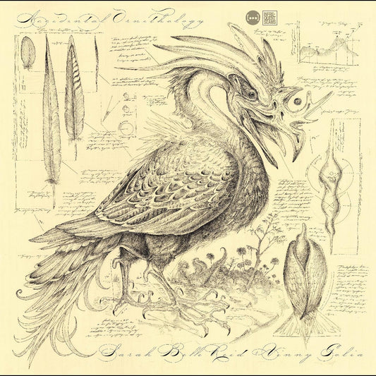 Various - Accidental Ornithology [CD]