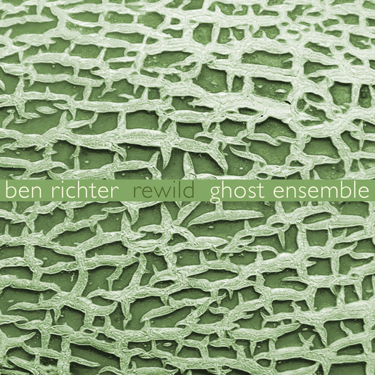 Ghost Ensemble - Ben Richter: Rewild [CD]