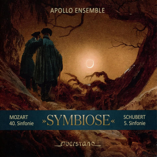 David Rabinovich - Symbiose [CD]