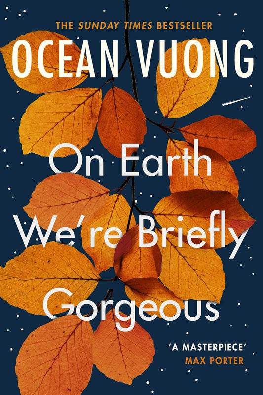 On Earth We're Briefly Gorgeous - Ocean Vuong (Paperback)
