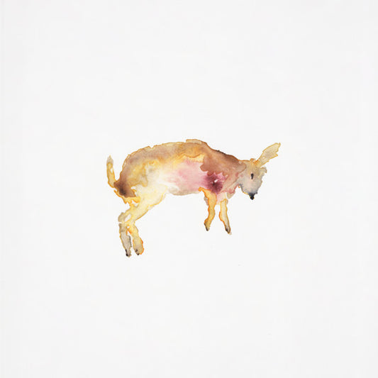 Watercolor painting of a small, leaping animal on a white background.