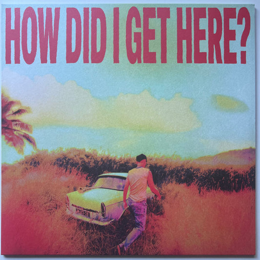 Louis Tomlinson - How Did I Get Here? [VINYL]