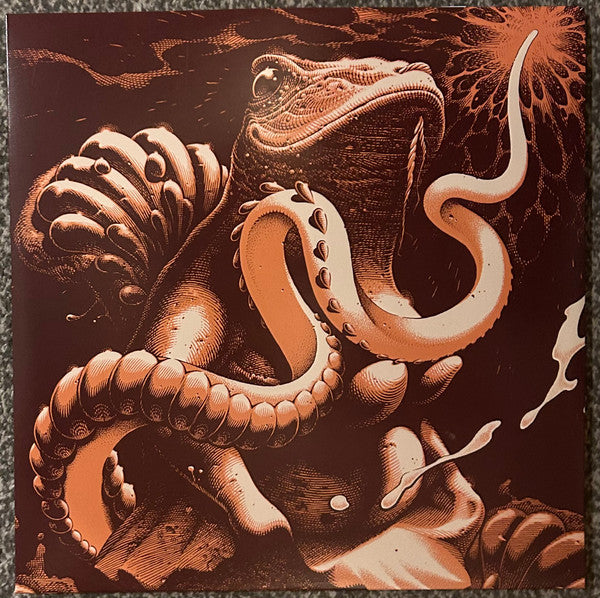 Boris - Amplifier Worship [VINYL]