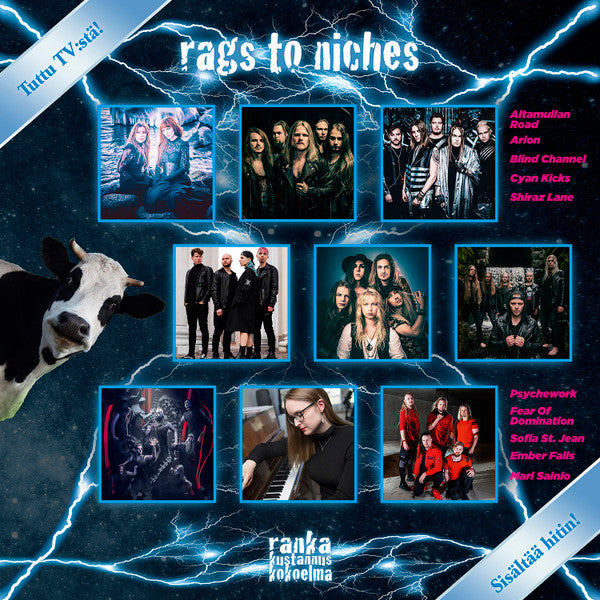 Rags To Riches - Rags To Niches [VINYL]