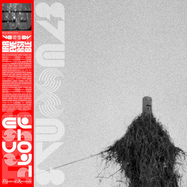 Irreversible - Vessel (red Iridescent) [VINYL]