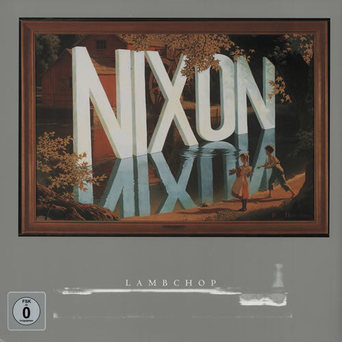 DVD cover for "Nixon" with mirrored text over a landscape painting.