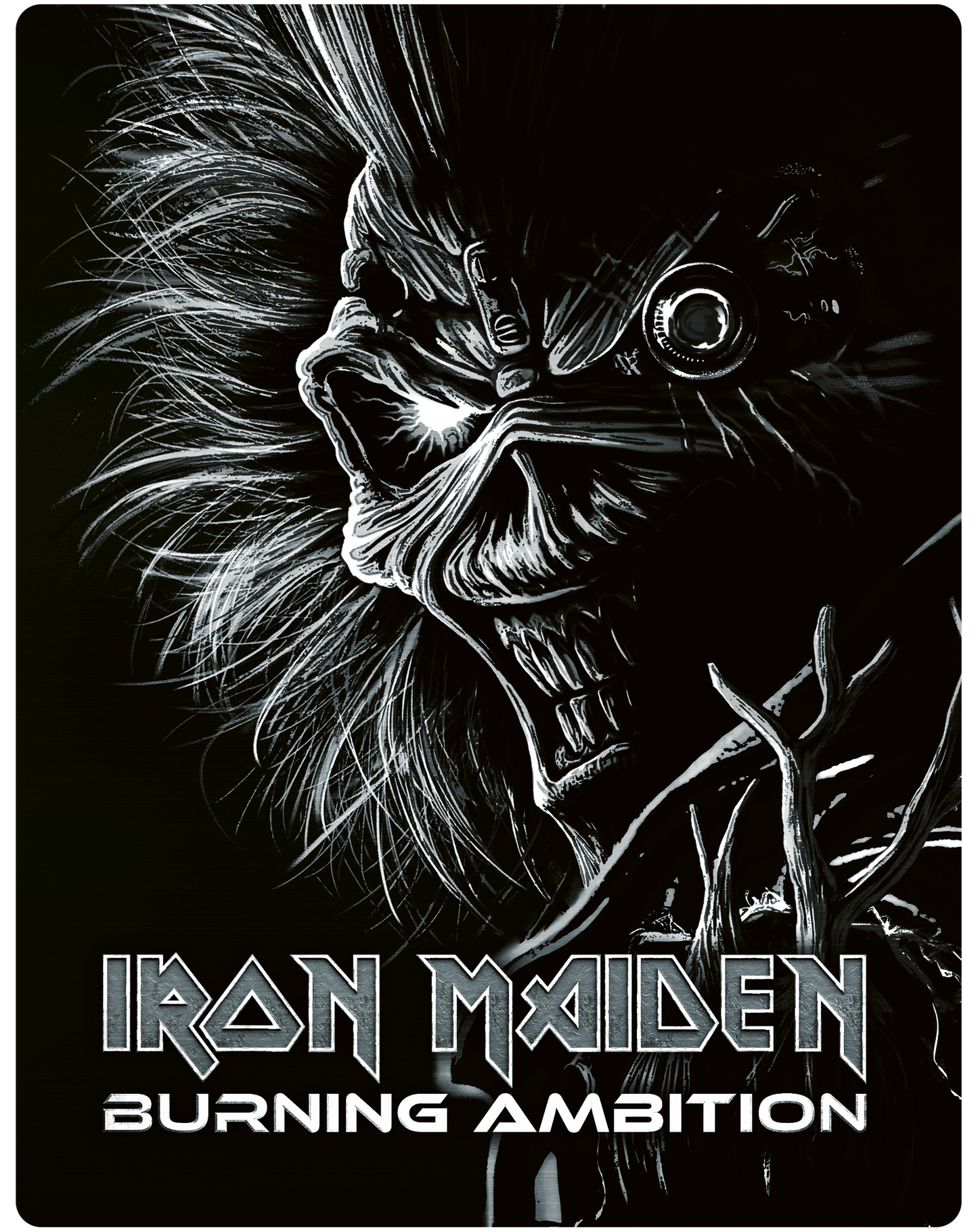 Iron Maiden: Burning Ambition Steelbook [Blu-ray]