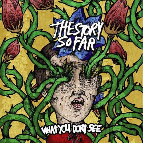 Story So Farthe - What You Dont See [VINYL]