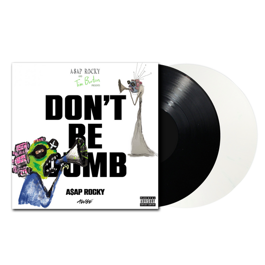 A$AP Rocky “Don’t Be Dumb” vinyl record with surrealist cover art.