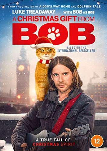 DVD cover: Man with ginger cat wearing a Santa hat.