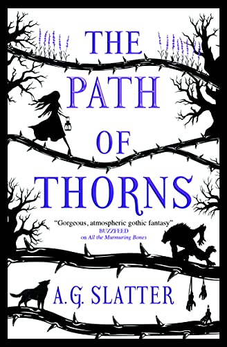 Book cover featuring a silhouette of a girl with a lantern amidst thorny branches.