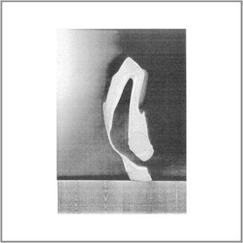 Abstract black and white image of a distorted, pale, curved shape against dark background.
