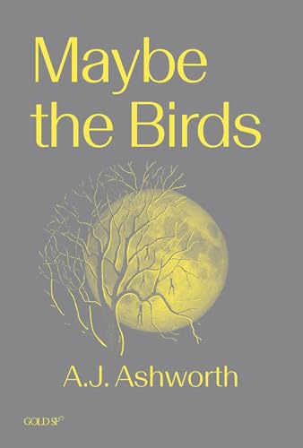 Book cover: "Maybe the Birds" with a yellow moon and bare tree.