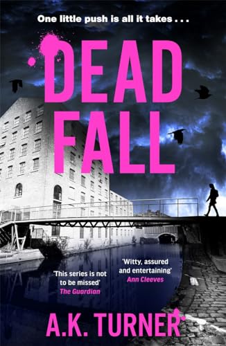 Book cover showing a canal, a bridge, a silhouette, and large pink text.