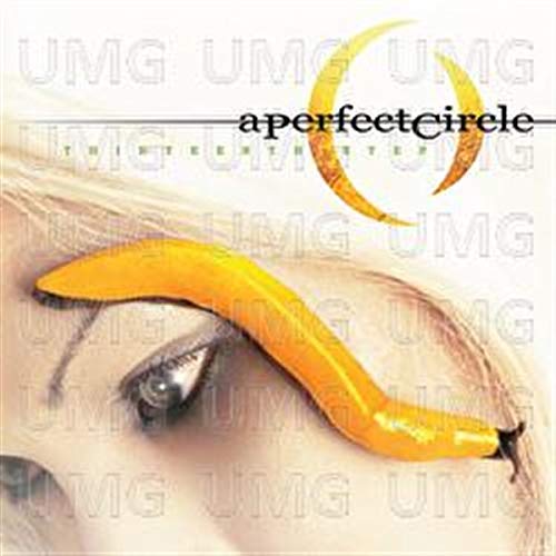 Album cover for A Perfect Circle's Thirteenth Step featuring a yellow slug on skin.