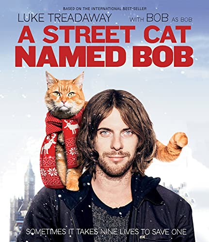 Movie cover featuring a man with an orange cat on his shoulder.