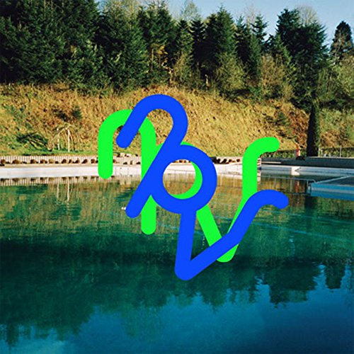 Vinyl record cover with blue and green abstract lettering over a pool.
