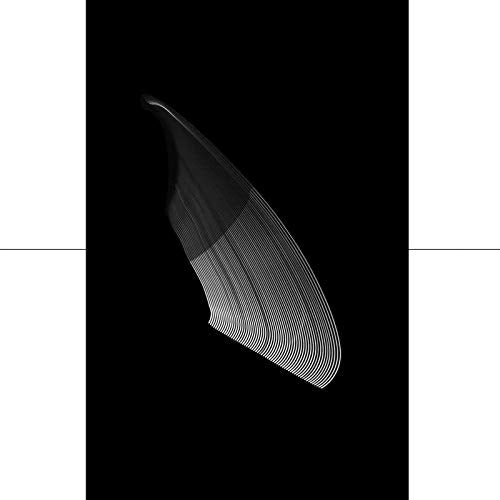 Abstract black and white image of curved lines on a dark background.
