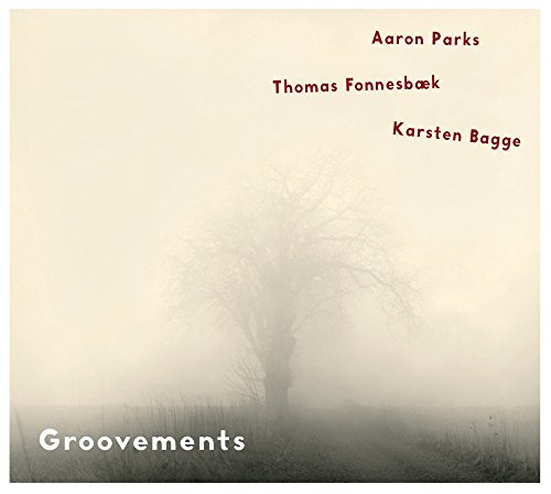 CD cover for "Groovements" by Aaron Parks, Fonnesbæk, and Bagge, with a misty tree.