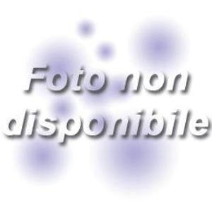 Image placeholder text reads "Foto non disponibile" in Italian.