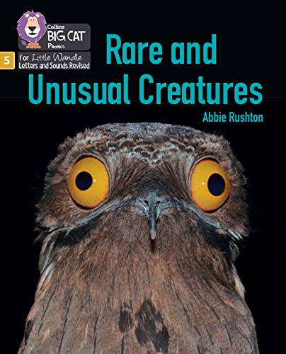 Book cover featuring a close-up of a mottled brown owl with bright eyes.