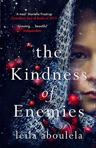Book cover: woman’s face partially obscured by a textured, dark shawl.