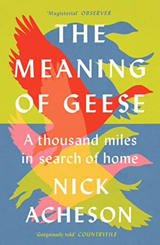 Book cover: colorful geese in flight over a blue and yellow background.