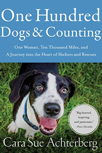 Book cover featuring a black and white dog against a blue and green background.