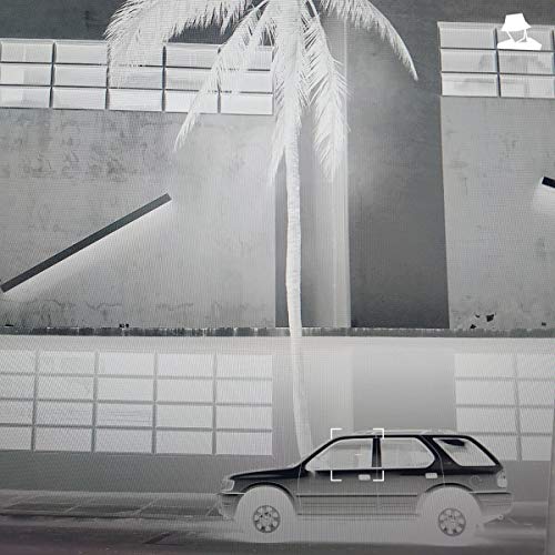 CD cover: grayscale image of a palm tree, car, and buildings.