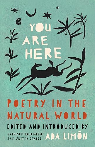 Book cover with leaping deer illustration and text: "You Are Here.