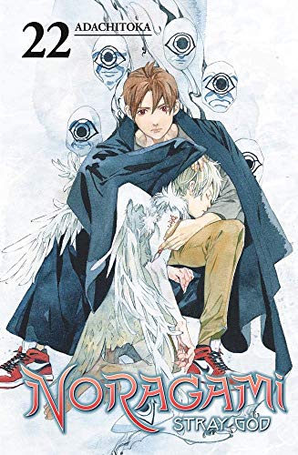 Noragami volume 22 cover: boy with spirits, manga style illustration.
