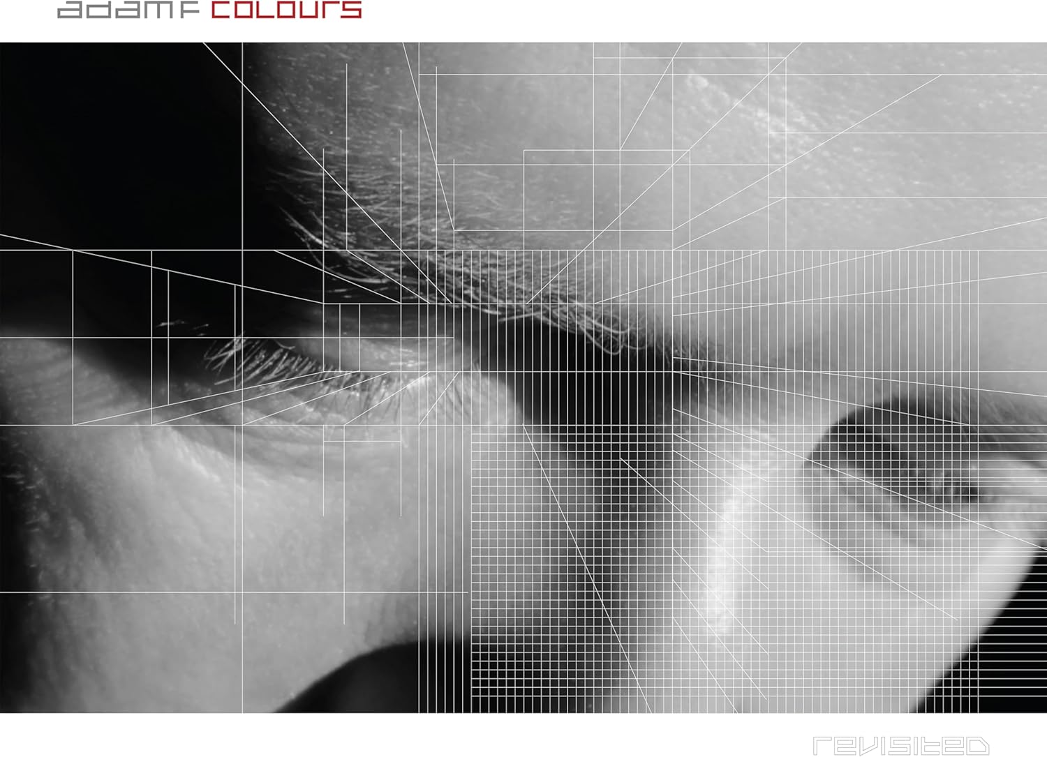 Black and white close-up of an eye overlaid with white geometric grid lines.