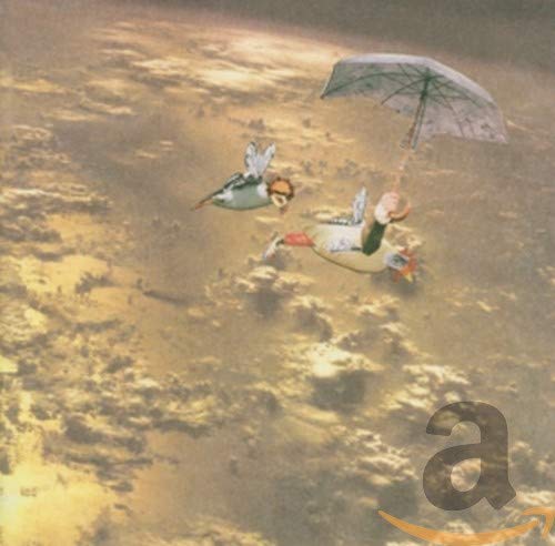 Surreal image of a duck and bird flying with a small umbrella.