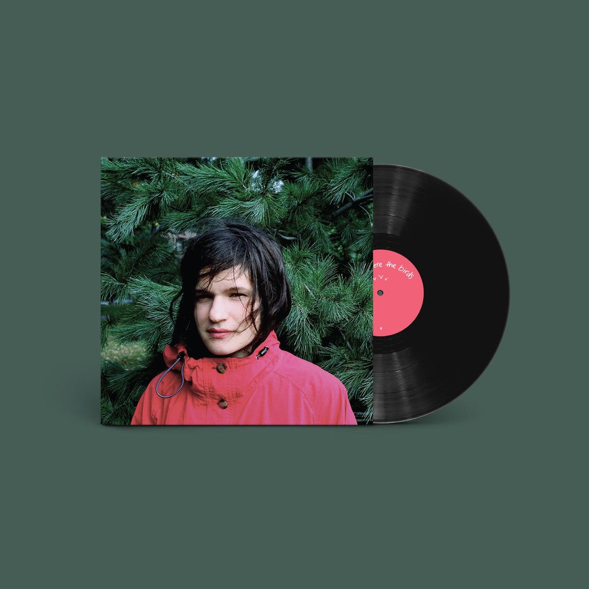 Adrienne Lenker album cover and vinyl record against a dark green background.