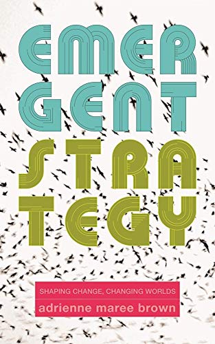 Book cover with stylized text and a flock of black birds on white.