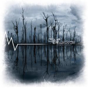 DVD cover for “Aenigma” featuring a dark, misty forest reflection.