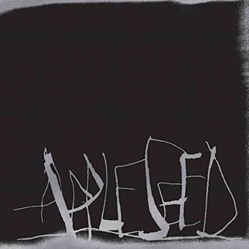 Aesop Rock’s “APPLESEED” CD cover: abstract white lines on black background.