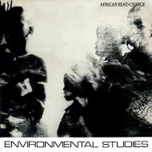 Black and white abstract album art with blurred figures and text Environmental Studies.