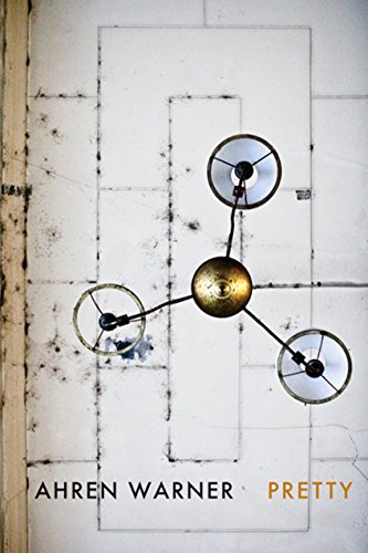 Book cover showing a three-armed light fixture against a weathered, tiled white ceiling.