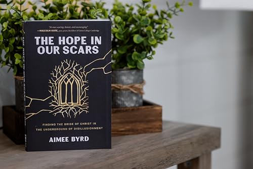 Black book cover with gold line art, titled “The Hope in Our Scars.”