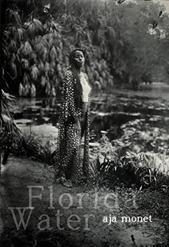 Black and white cover depicting a person in a watery landscape.