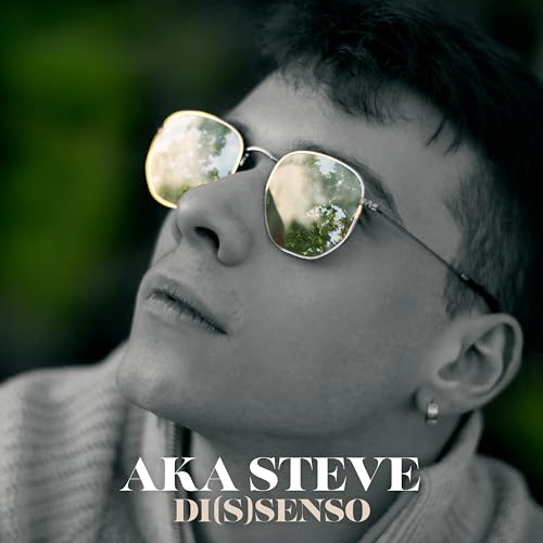 Close-up of a person wearing sunglasses, album cover for Aka Steve.