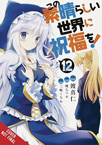 Manga volume 12 cover featuring two anime-style female characters.