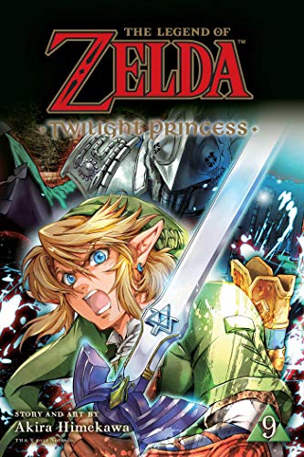 Link holds a sword in front of a shadowed figure on this manga cover.